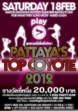 Pattaya Coyote