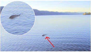 Scottish Sailor Claims To have Best Picture Yet Of Loch Ness Monster Another claimed sighting of Nessie and I must say this looks about as convinving as the best I’ve seen.