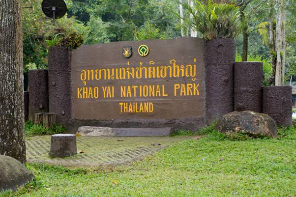 Khao Yai National Park Thailand