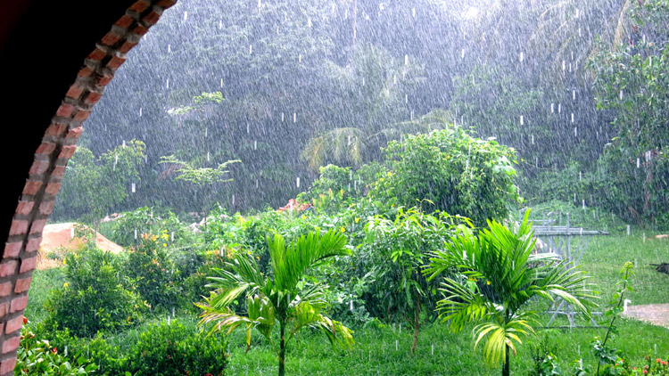 Vietnam rainfall