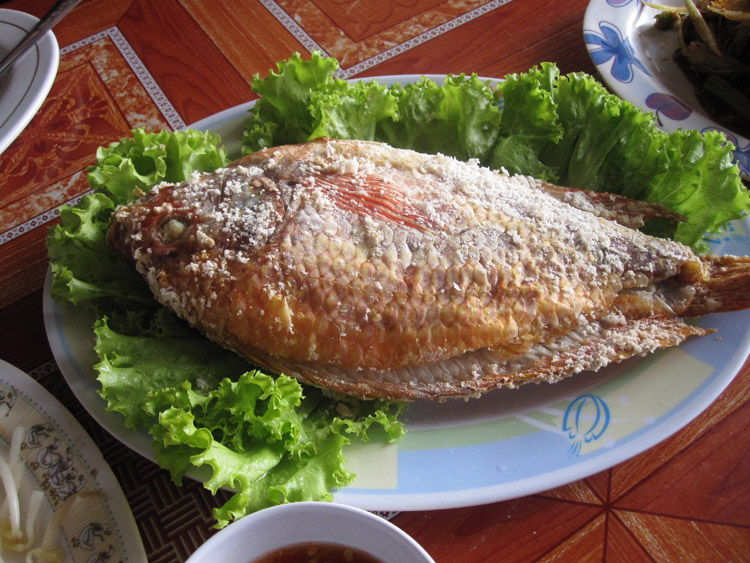 fish, Thailand