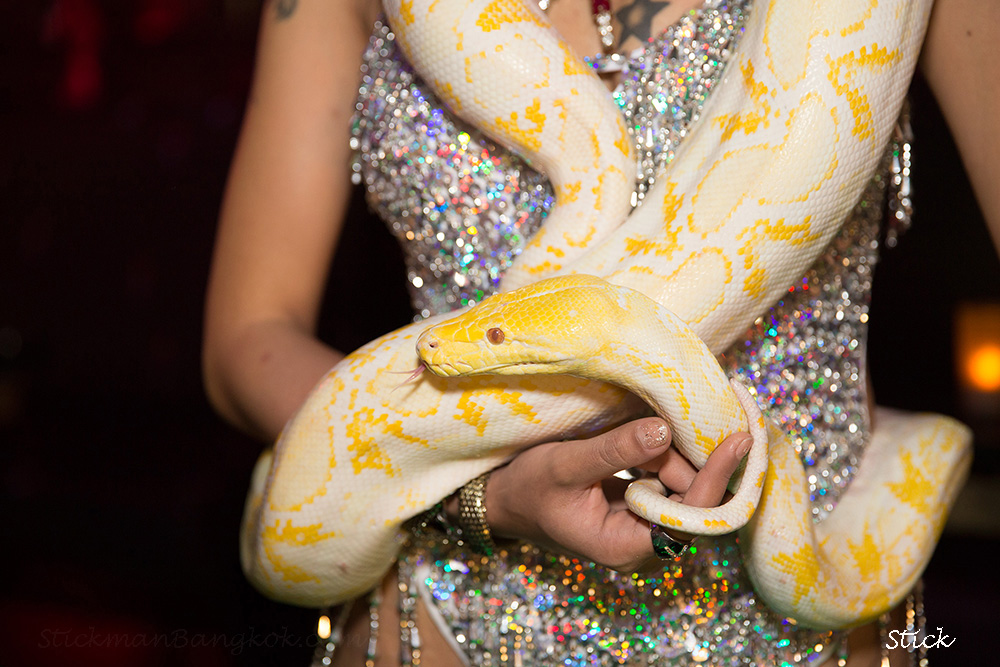 Bangkok snake show